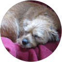 heinz albeck profile picture